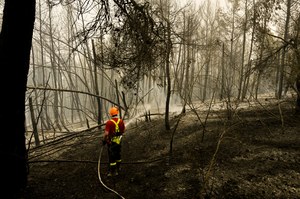 Zła wiadomość dla klimatu. Płonące lasy uwolniły rekordowo dużo CO2