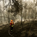 Zła wiadomość dla klimatu. Płonące lasy uwolniły rekordowo dużo CO2