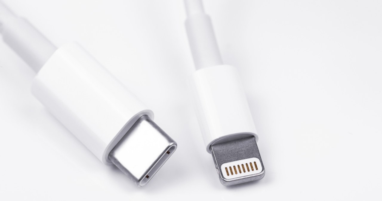 Złącze USB-C i złącze lighting. To obecnie najpopularniejsze kable do ładowania. /123RF/PICSEL