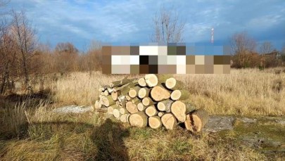 ​Złamał zakaz kierowania pojazdem, odpowie za wycinkę drzew