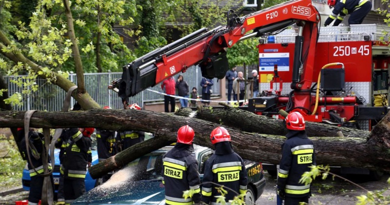 Złamane drzewo przygniotło auto w Warszawie