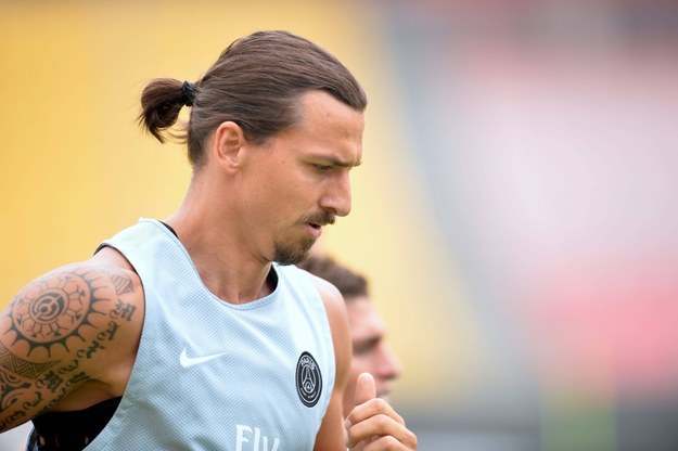 Zlatan Ibrahimovic / 	Panoramic    /PAP