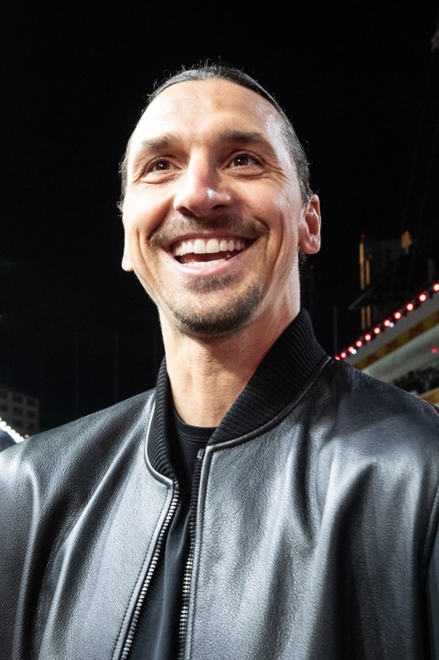 Zlatan Ibrahimovic /Shutterstock