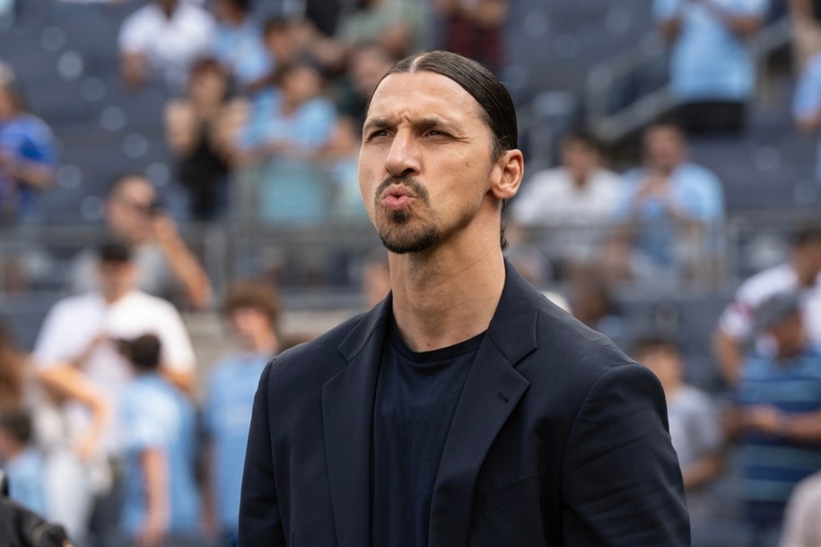 Zlatan Ibrahimović /Shutterstock