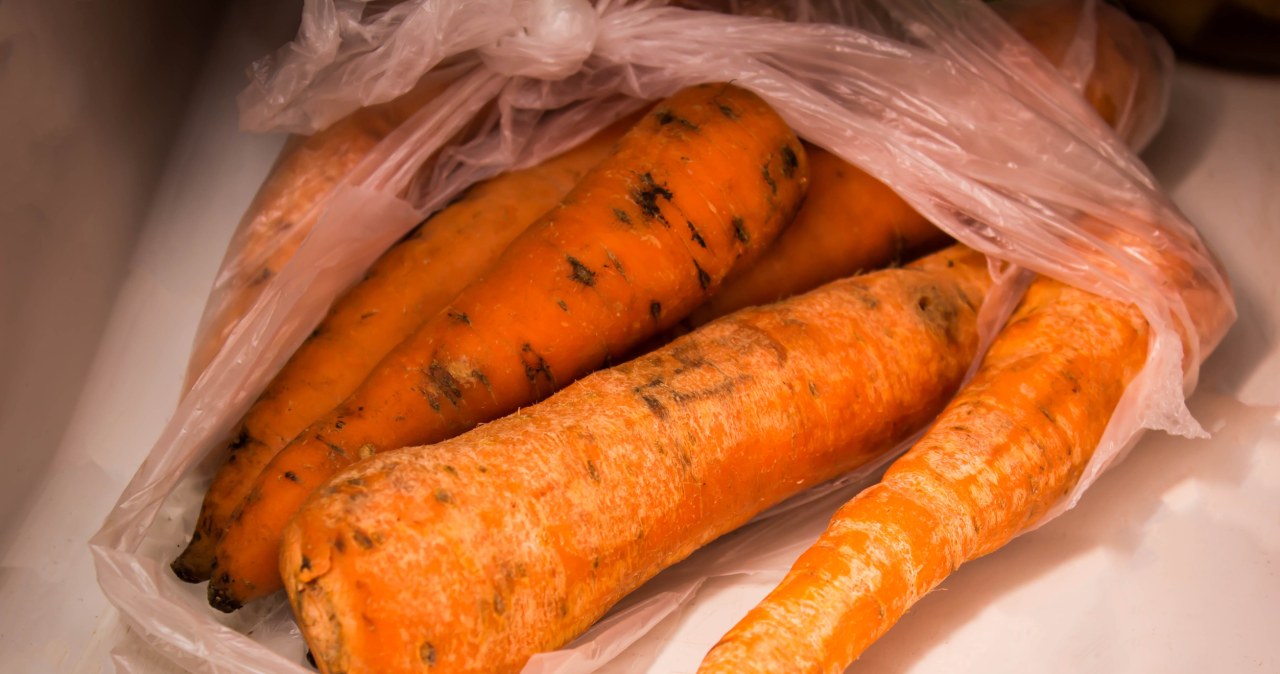 Źle przechowywana marchewka szybko więdnie i czernieje /tsimbalyuk /123RF/PICSEL