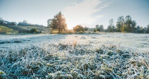 Złe wieści dla sadowników. Unijne wsparcie nie tak szybko