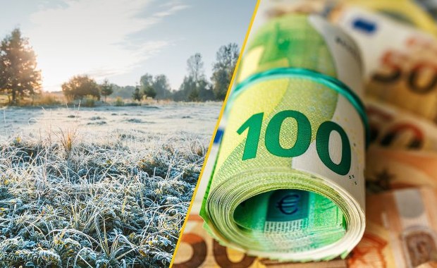 Złe wieści dla sadowników. Unijne wsparcie nie tak szybko