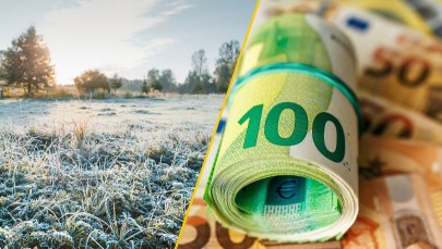 Złe wieści dla sadowników. Unijne wsparcie nie tak szybko