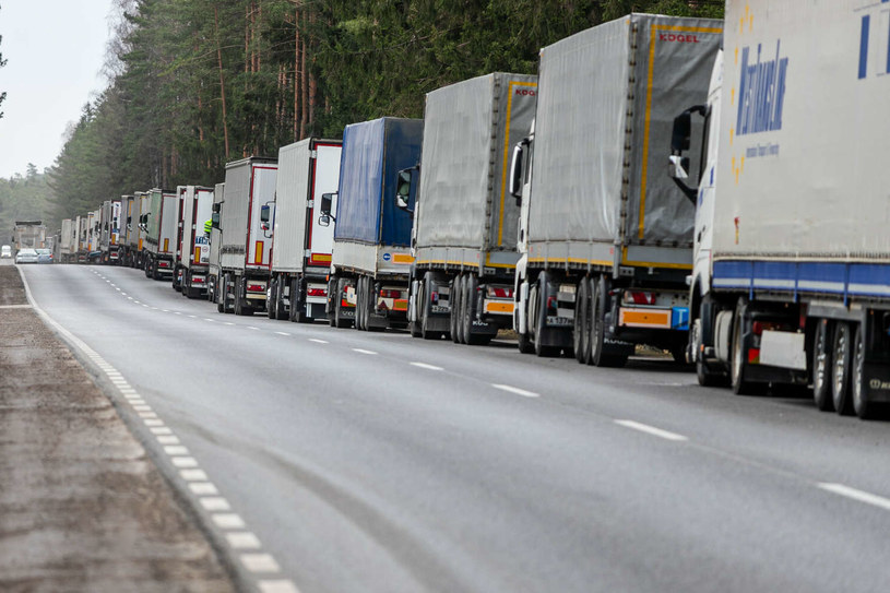 Zleceniodawcy poszukują zwykłych ciężarówek-chłodni / zdj. ilustracyjne /Wojciech Wojtkielewicz/Polska Press/East News /East News