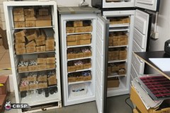 Zlikwidowana fabryka anabolików