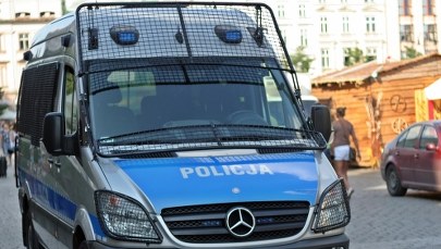 Zlikwidowano dziuplę z luksusowymi autami