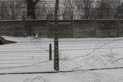 Zlikwidowano dziurę w ogrodzeniu byłego KL Auschwitz