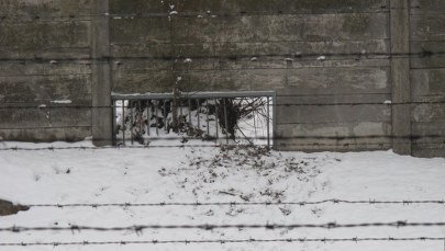 Zlikwidowano dziurę w ogrodzeniu byłego KL Auschwitz