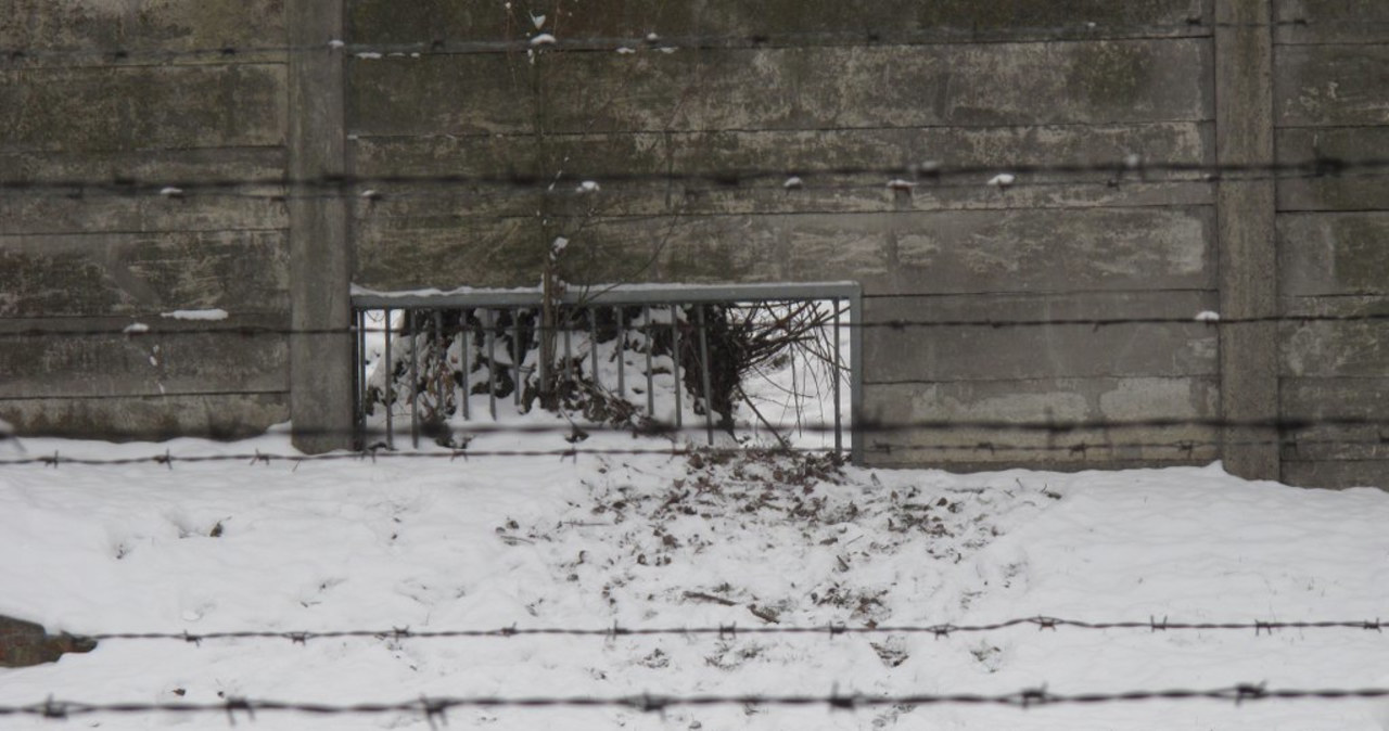 Zlikwidowano dziurę w ogrodzeniu byłego KL Auschwitz