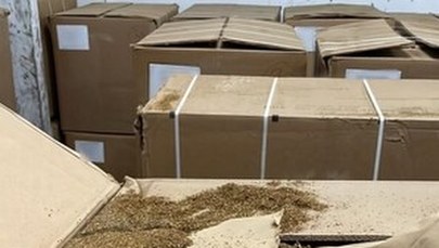 Zlikwidowany magazyn z tytoniem bez akcyzy 