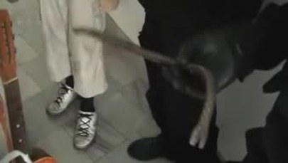 Złodziej wpadł przez wino mszalne