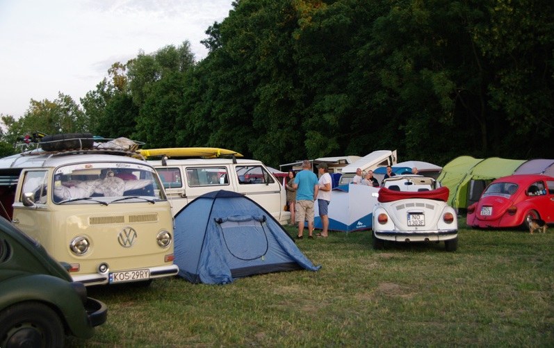 Zlot Automobilkluby Volkswagena Garbusa /Jacek Strąk /Informacja prasowa