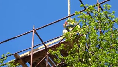 Złota Alegoria Nauki powraca na Politechnikę Gdańską