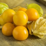 Złota jagoda to skarbnica witamin. Redukuje poziom "złego" cholesterolu, poprawia wzrok