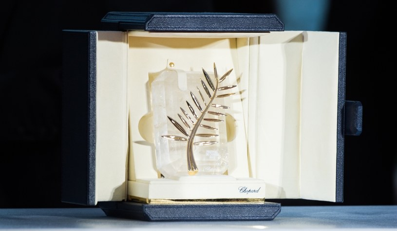 Złota Palma, główna nagroda festiwalu w Cannes /Samir Hussein / Contributor /Getty Images