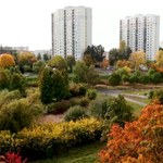 Złota polska jesień czy początek zimy? Huśtawka temperatur w Polsce