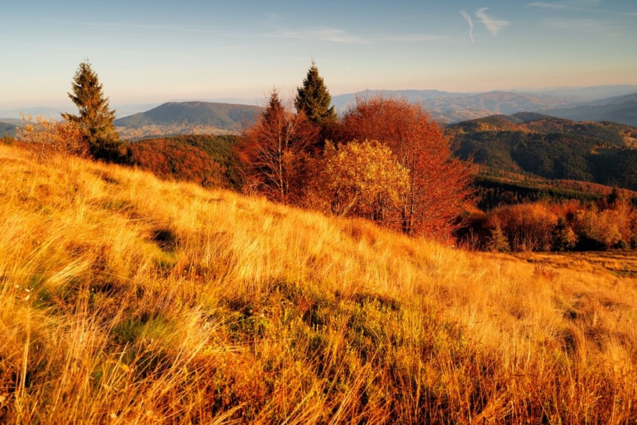 Złota polska jesień w Beskidach /Shutterstock