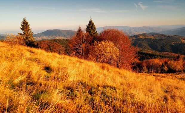 Złota polska jesień w listopadzie? Eksperci nie mają wątpliwości