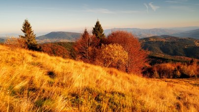 Złota polska jesień w listopadzie? Eksperci nie mają wątpliwości