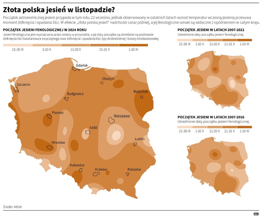 Złota polska jesień w listopadzie? /Mateusz Krymski /PAP