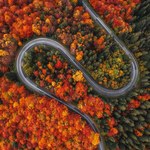 Złota polska jesień w Tatrach zachwyca na zdjęciach magicznymi kolorami