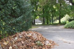 Złota polska jesień