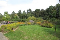 Złota polska jesień