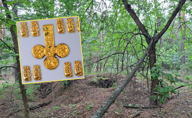 "Złote pantery" obok ludzkich kości. Tajemniczy kurhan skrywał skarb