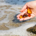 bursztyn Złote żniwa nad Bałtykiem. Spacerowicze wracają z pełnymi wiadrami