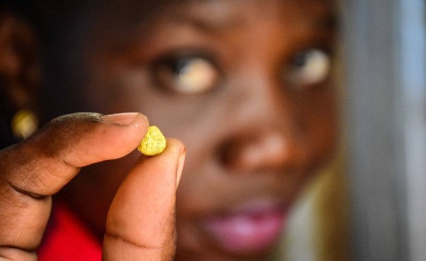 Złoto czyste i w wielkiej ilości. Odkryto nowe złoże