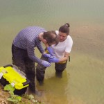 Holandia Złoto, ozdoby, narzędzia. Archeolodzy odkryli 3000 zabytków w dolinie rzeki
