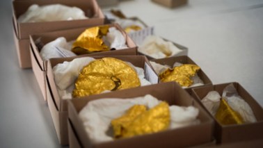Złoto wikingów. Odkryto najpiękniejszy skarb w historii Danii 