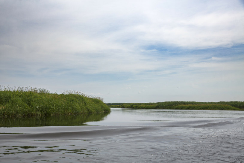 Złotoria: Wywróciła się łódka na rzece Narew. Nie żyje 42-latek 
