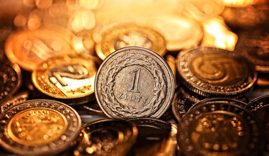 Złotówka najpierw dzieliła się na 30 groszy, a potem na 15 kopiejek. Historię polskiej waluty znają nieliczni