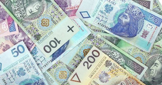 Złoty będzie pod wpływem doniesień globalnych /&copy;123RF/PICSEL