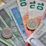 "Złoty cały czas pozostaje mocny". Ile kosztują dolar i euro?