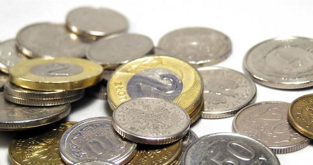 Złoty ma szanse na wzrost /&copy;123RF/PICSEL