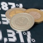 Złoty może się dalej osłabiać. Ile zapłacimy za euro we wrześniu? 