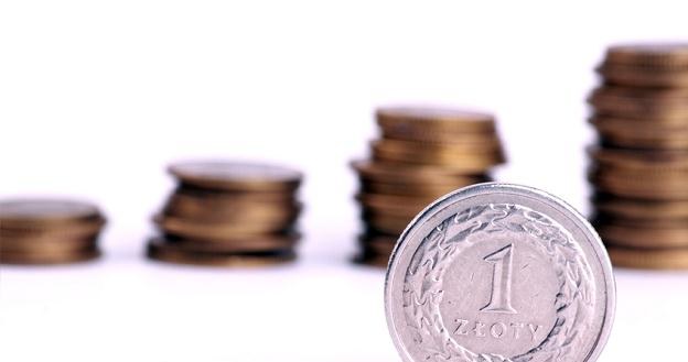 Złoty może się osłabiać ku 4,24-4,25 za euro /&copy; Panthermedia