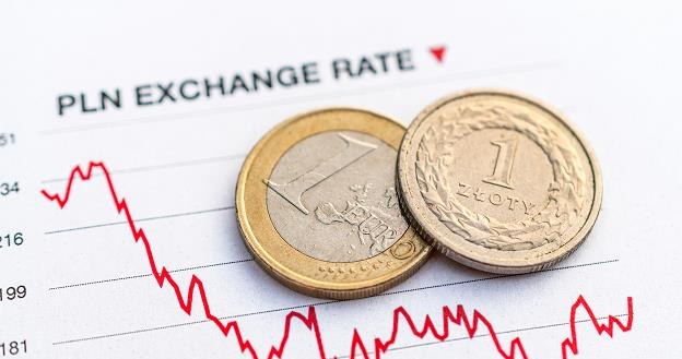 Złoty może się osłabić wobec euro... /&copy;123RF/PICSEL