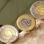 Złoty może umocnić się względem walut bazowych