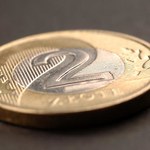 Złoty może utrzymywać się w przedziale 4,12-4,17 za euro