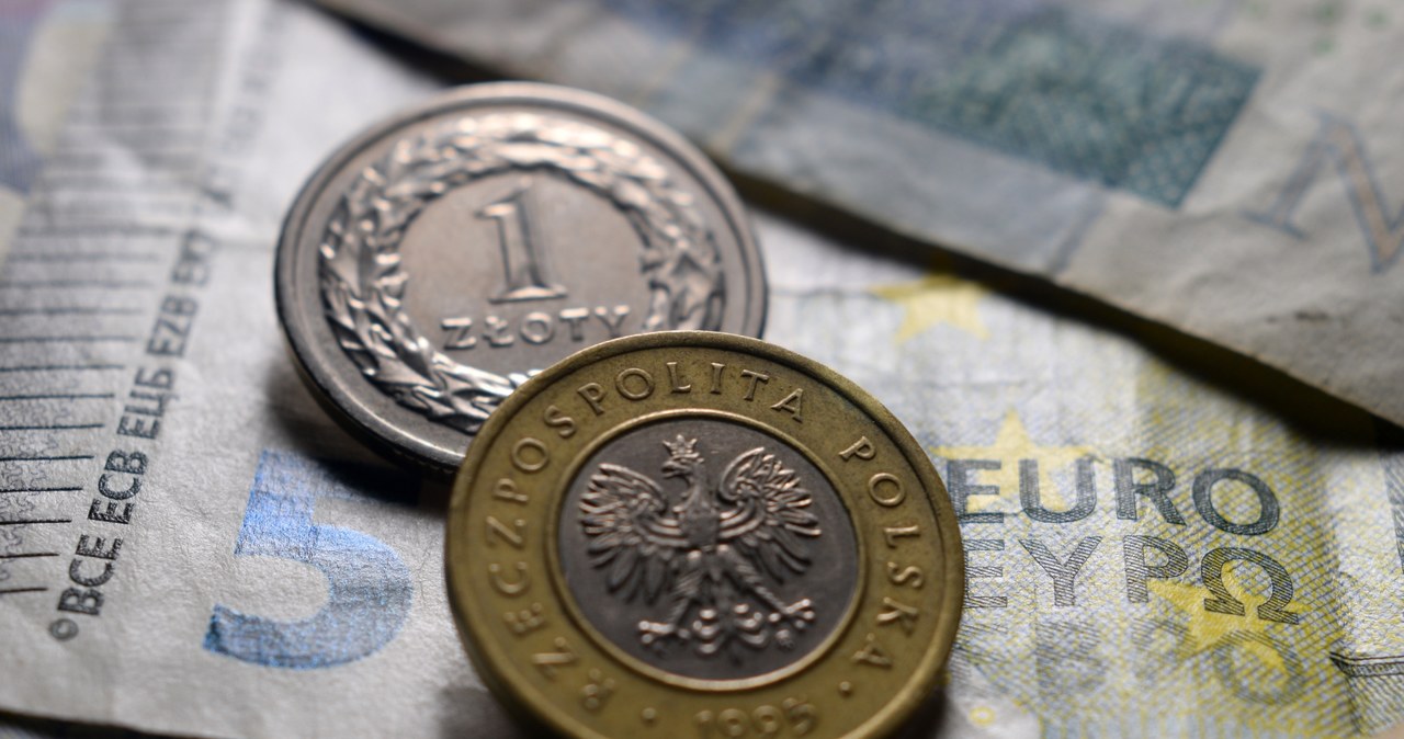 Złoty na huśtawce. Euro i dolar niespokojne przed wyborami we Francji. /123RF/PICSEL