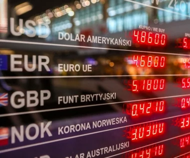 Złoty pikuje po decyzji RPP. Jest najsłabszy od wiosny