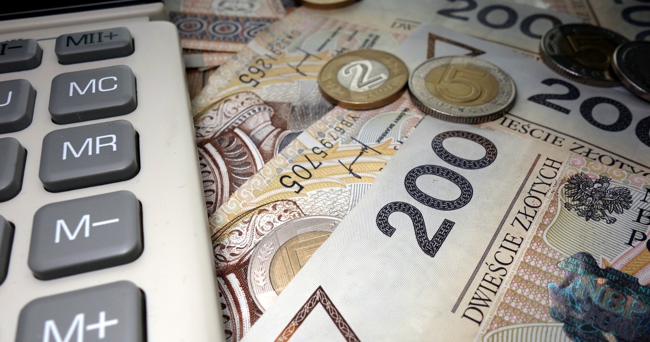 Złoty po decyzji RPP ws. cięcia stóp. Ile kosztują euro, dolar i frank? /123RF/PICSEL